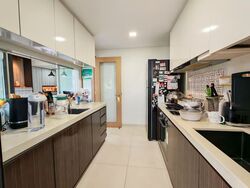 Twin Waterfalls (D19), Condominium #542780081